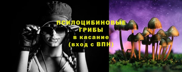 молекула духа Магадан