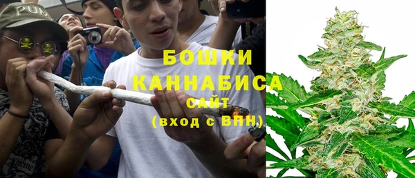 молекула духа Магадан