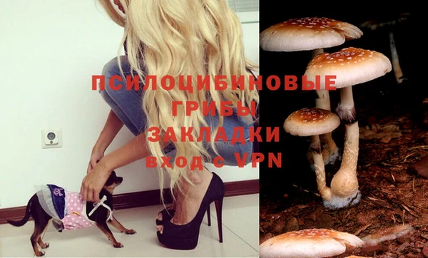 молекула духа Магадан