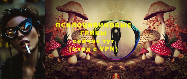 молекула духа Магадан