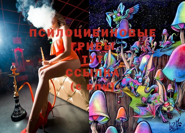 2c-b Майский