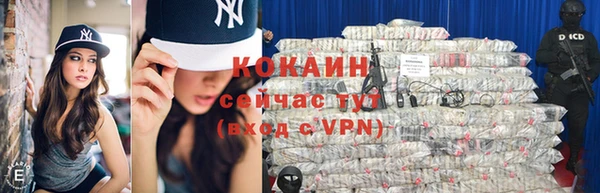 молекула духа Магадан
